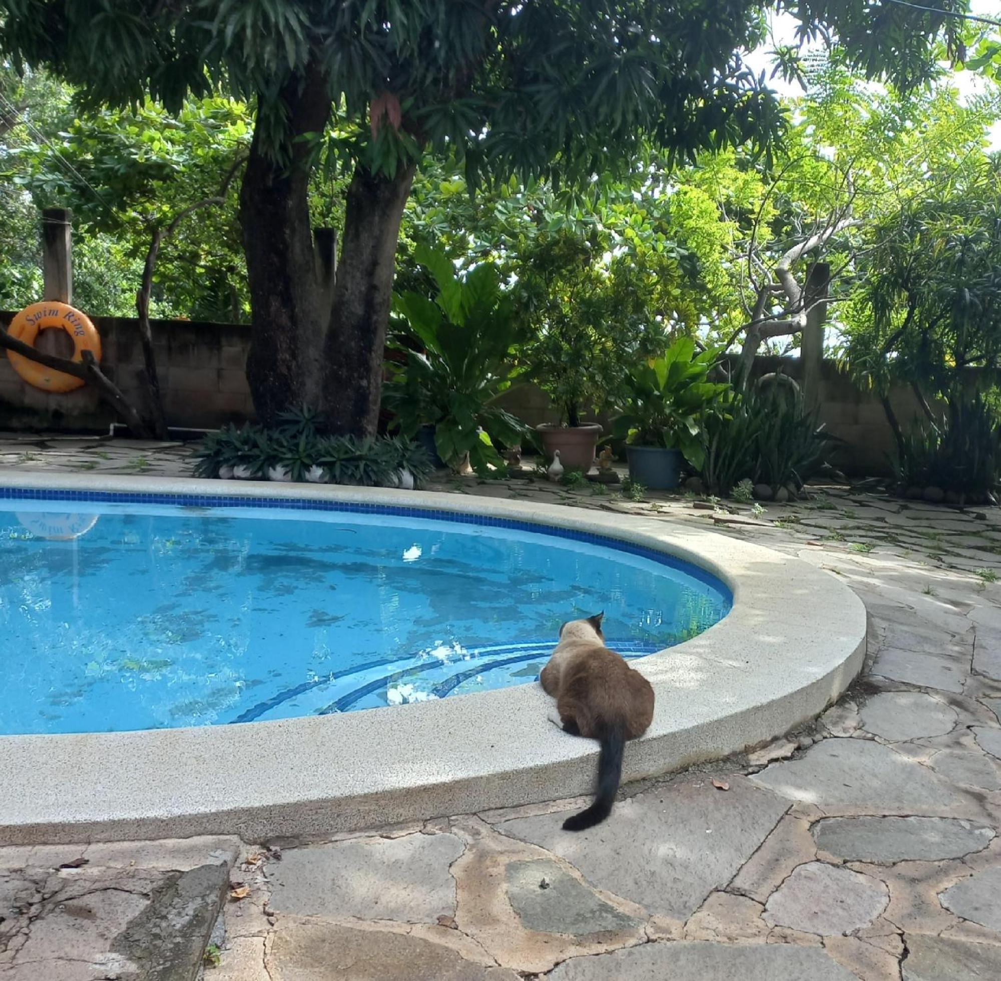 Casita Escondida- El Salvador Villa La Libertad Eksteriør billede