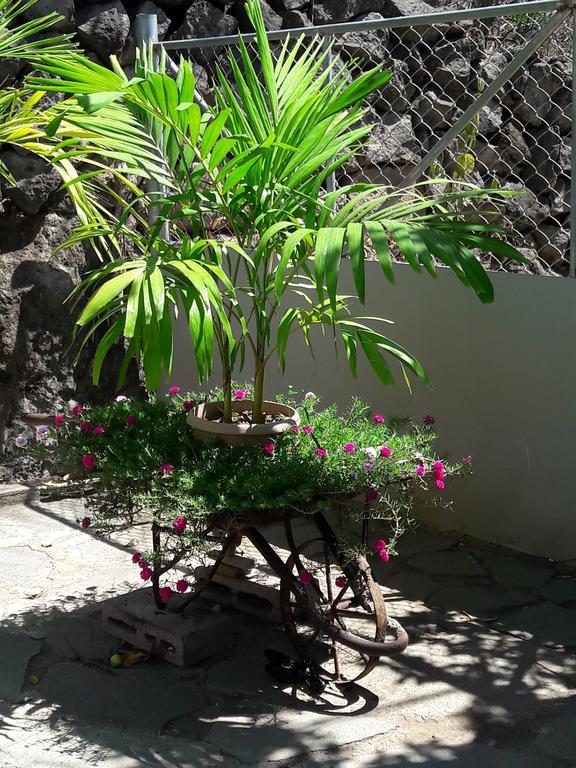 Casita Escondida- El Salvador Villa La Libertad Eksteriør billede